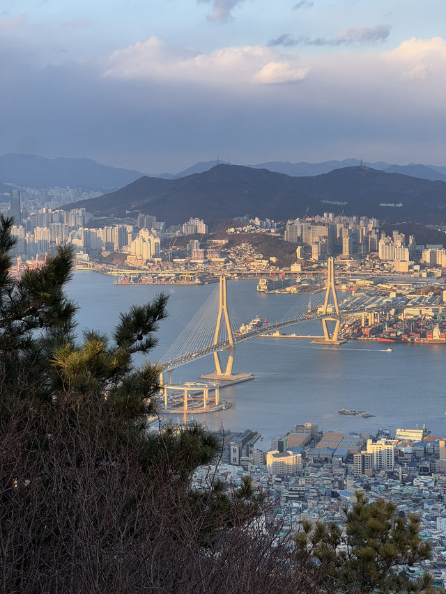 정말 추천드리는 명산🩷
