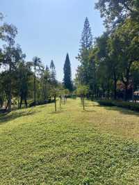 🧘🏻🛀讓人有種說不出寫意「元洲仔公園」🏞️🌸