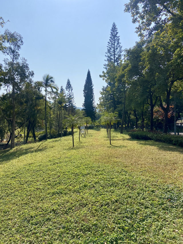🧘🏻🛀讓人有種說不出寫意「元洲仔公園」🏞️🌸