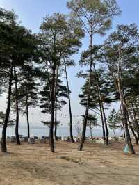🏞️팔당 한강뷰맛집 브런치 카페💕🫢