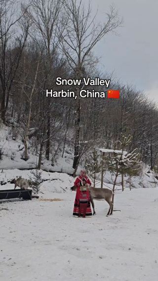 Alice in Wonderland, Harbin China