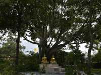 วัดป่าภัทรปิยาราม จังหวัดลพบุรี