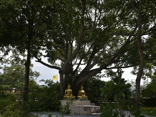 วัดป่าภัทรปิยาราม จังหวัดลพบุรี