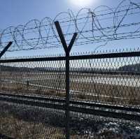南北韓非軍事區（DMZ）近日體驗