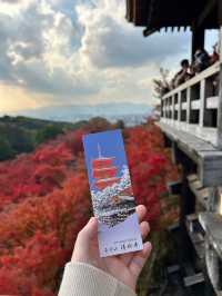 【京都】秋の清水寺で特別なひとときを🍁