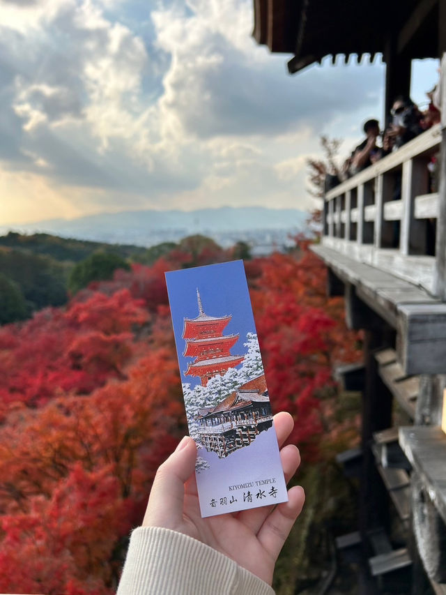 【京都】秋の清水寺で特別なひとときを🍁