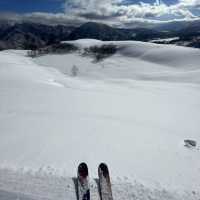 Bluebird Powder day in Cortina, Hakuba, Japan ! 