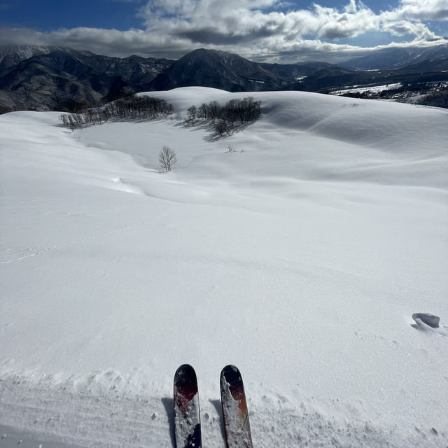 Bluebird Powder day in Cortina, Hakuba, Japan ! 