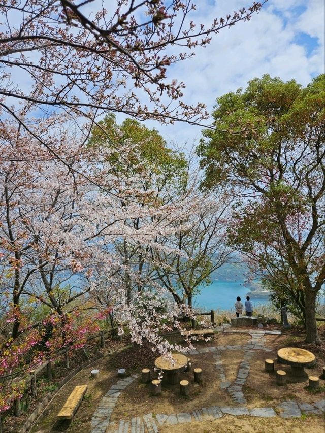 【ガラスのないテラス席からの絶景】