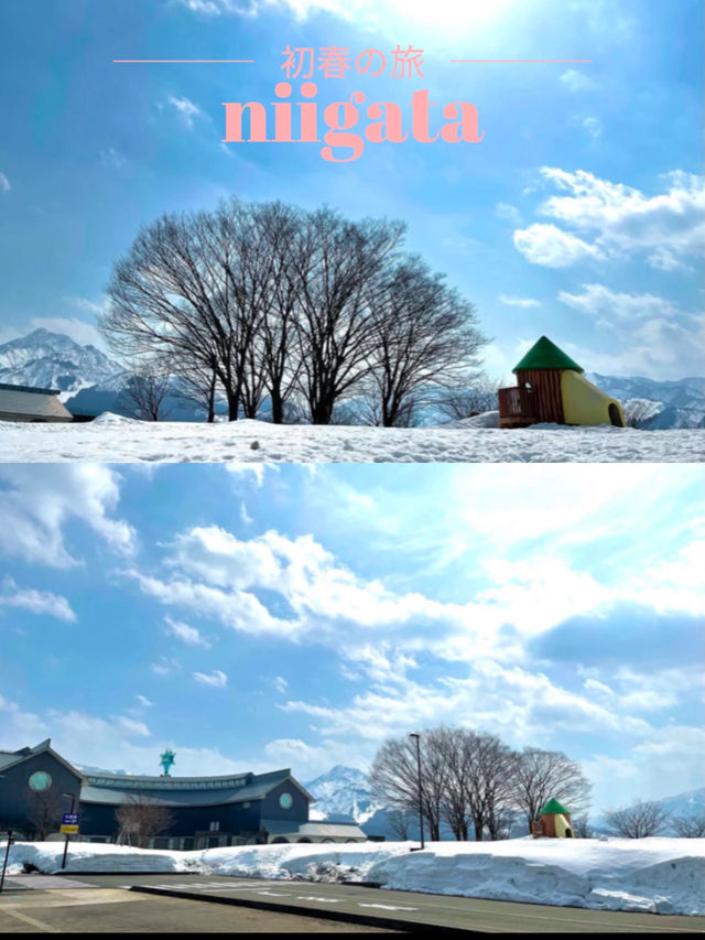【新潟×初春の旅】「食・美術・歴史・自然」を楽しめる道の駅  魚沼産コシヒカリは最高！