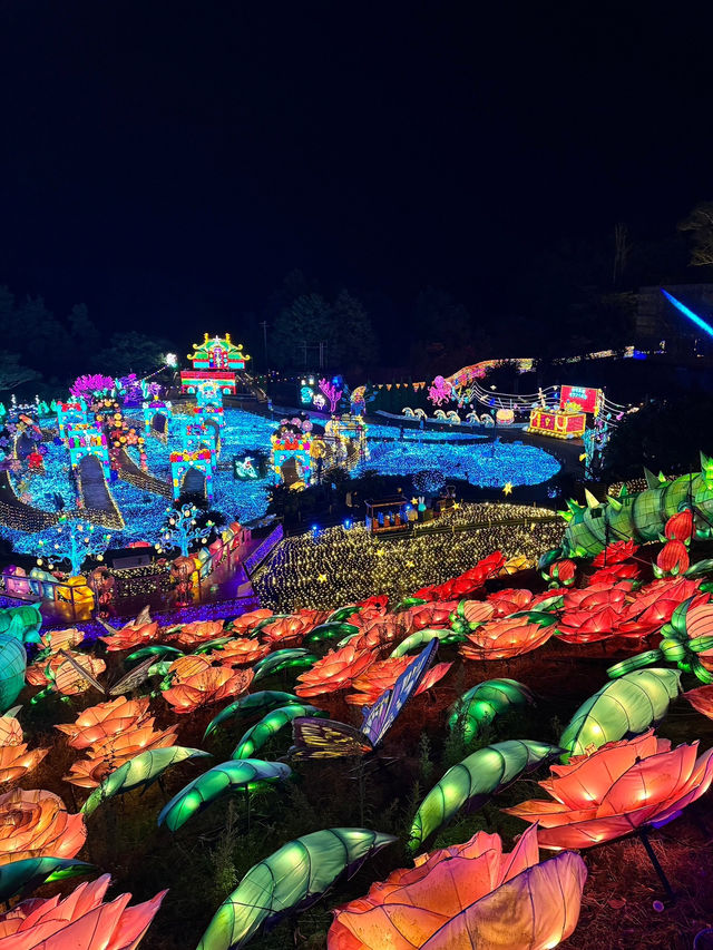 ✨🌈 伊豆ぐらんぱる公園「グランイルミ」日本屈指の体験型イルミネーション！ 🌈✨