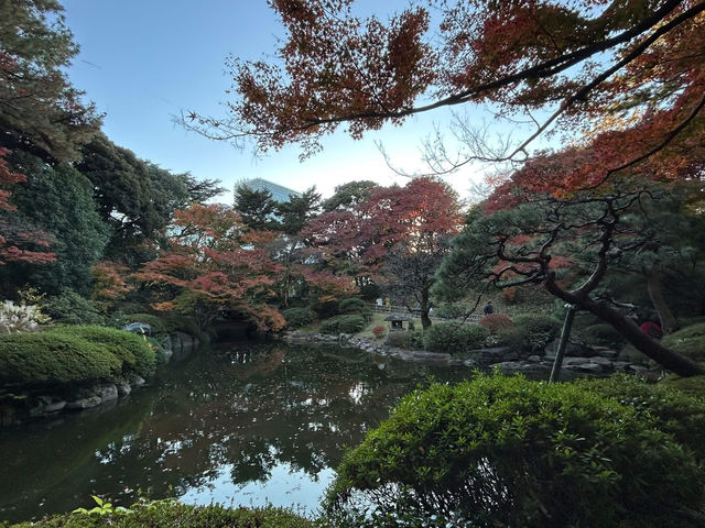 喜歡自在慢遊的夥伴，相信會喜歡「東京庭園美術園」