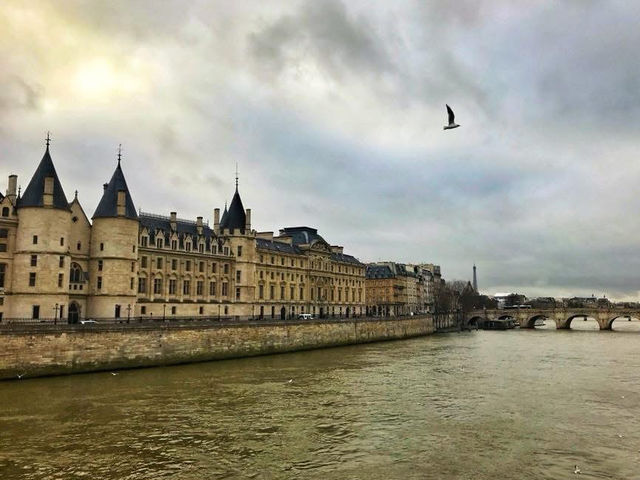 🇫🇷The Serene Seine River in Paris🇫🇷