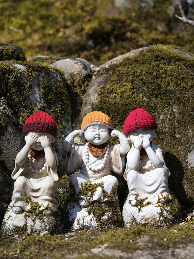【宮島】厳島神社だけじゃない！大聖院でパワーチャージ！