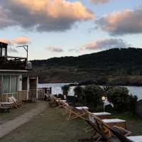 제주 동쪽 에메랄드 바다와 푸르른 해변 추천 🏖️함덕해수욕장