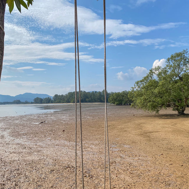 “𝙂𝙧𝙤𝙫𝙚 𝙋𝙝𝙪𝙠𝙚𝙩 🌿🏕️ คาเฟ่สไตล์แคมป์ปิ้ง