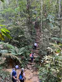 Bukit Gasing: A Hidden Green Escape Near the City