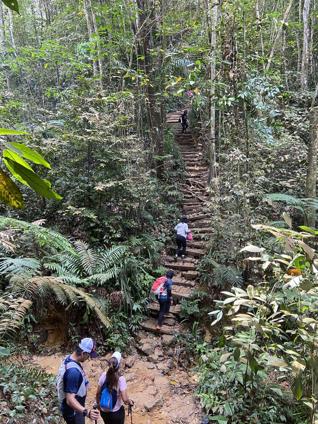 Bukit Gasing: A Hidden Green Escape Near the City