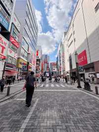 Akihabara: Tokyo’s Electric Wonderland