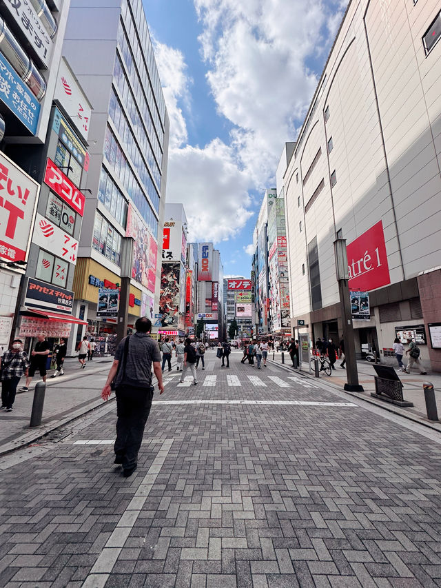 Akihabara: Tokyo’s Electric Wonderland