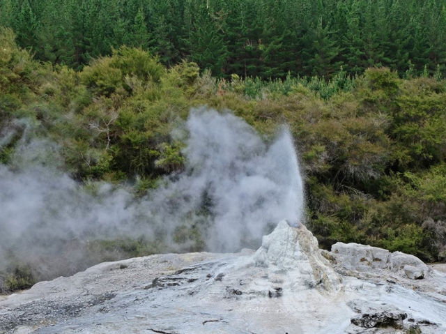 Wai-O-Tapu Thermal Wonderland นิวซีแลนด์