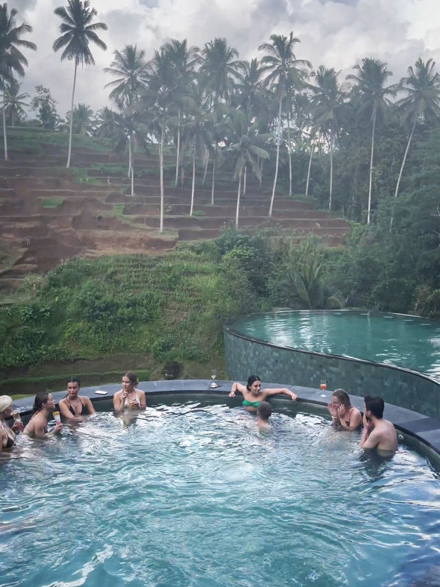 Gorgeous Pool overlooking Paddyfield 