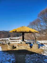 다양한 동물들을 만날 수 있는 천국 해피초원목장💙