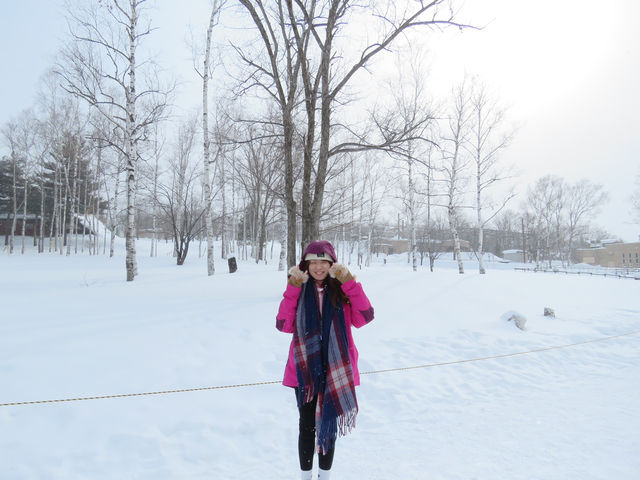 🇯🇵 北海道雪地上的企鵝遊行🐧
