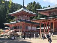 Hiyoshi Taisha: The Grand Shrine of Protection and History