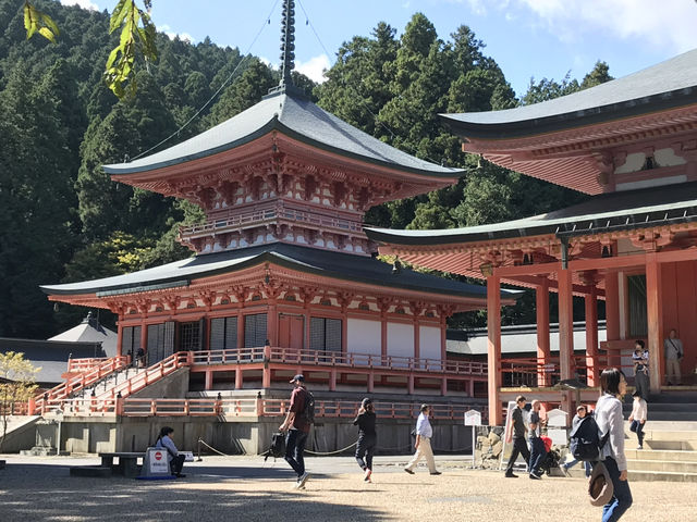 Hiyoshi Taisha: The Grand Shrine of Protection and History