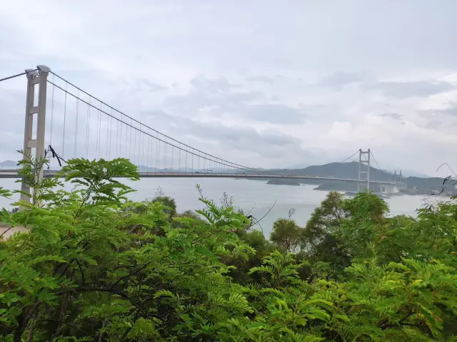 青馬大橋觀景台：情人節的壯麗浪漫