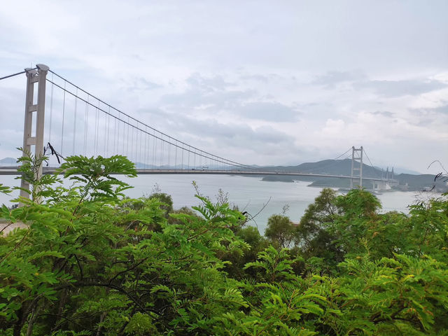 青馬大橋觀景台：情人節的壯麗浪漫
