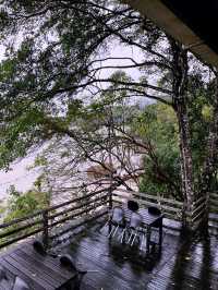 The Feeding Tree - Must Visit Forest Cafe in Damai