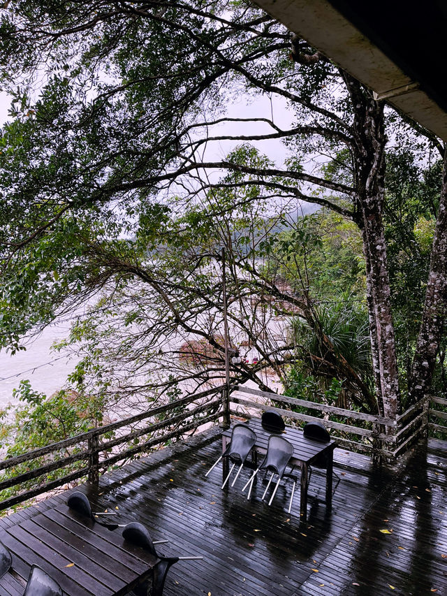 The Feeding Tree - Must Visit Forest Cafe in Damai