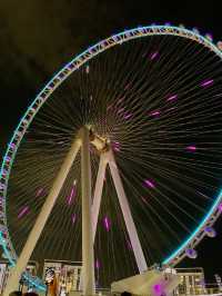 Dubai Marina: An Evening Stroll & Night Cruise Under the City Lights