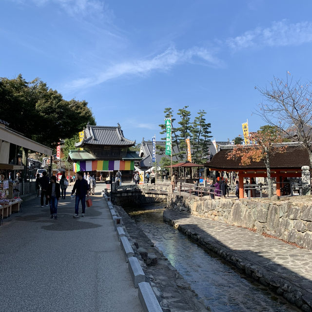 Deer-ly Loved Miyajima: A Day Trip to Remember! 