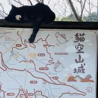貓空漫遊-步道、美景與茶香的完美結合