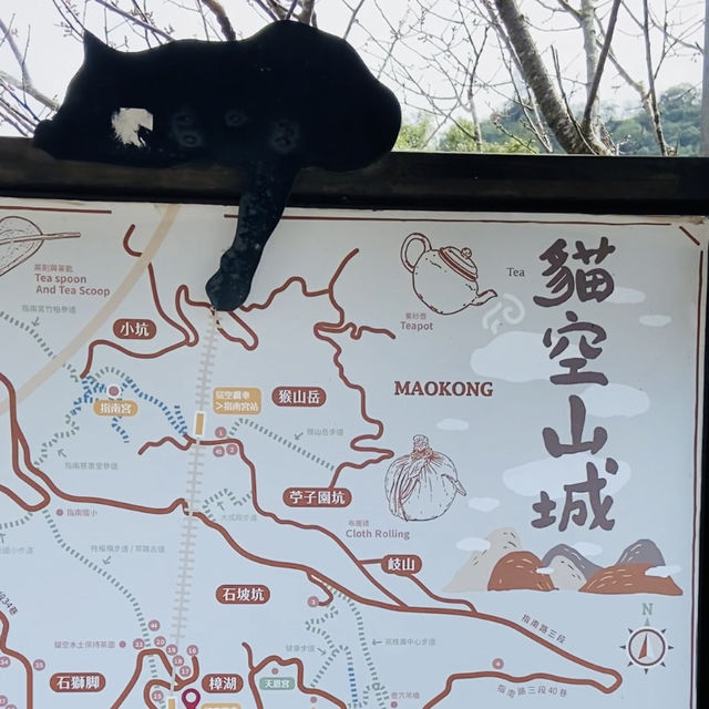 貓空漫遊-步道、美景與茶香的完美結合