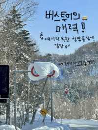 비에이 필수 여행지를 알려드려요!
