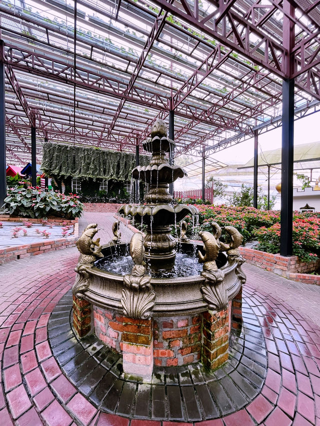 Travel to the Mother of Flowers in Cameron! Travel to the Mother of Flowers in Cameron!