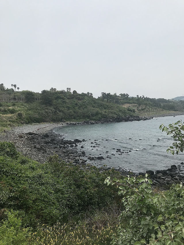 제주 올레길 7코스 함께 걸어요🚶🏻‍♀️