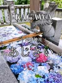 あじさい神社
