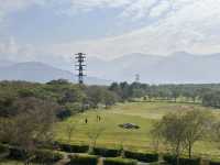 林後四林平地森林公園～非常適合散步運動的好地方