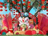 Lunar Festivities in Miri! 🐍🏮