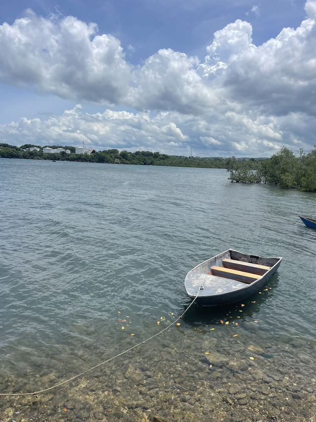 A Stroll by the Shore in Waingapu: Simple Moments, Big Smiles 🌊🚶‍♂️