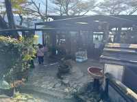 屏東三地門清淨莊園｜半山腰景觀餐廳｜寵物友善咖啡廳