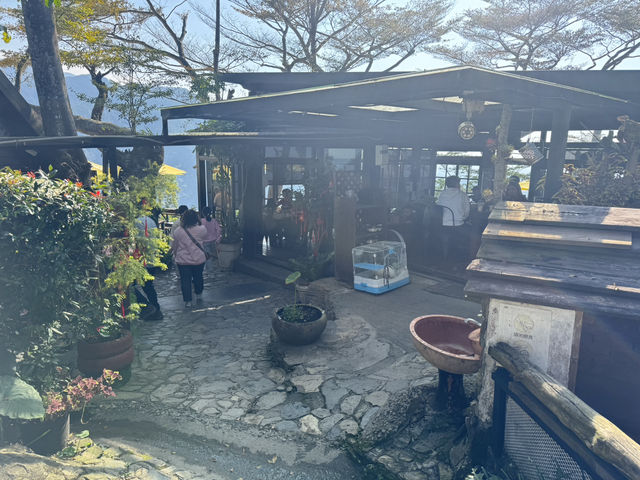 屏東三地門清淨莊園｜半山腰景觀餐廳｜寵物友善咖啡廳