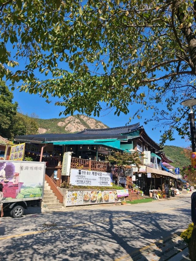 계룡산 동학사쪽 입구 더덕맛집