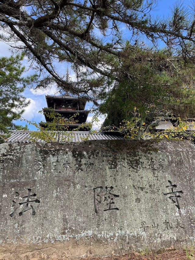 奈良探險記（上）：從世界最古老的木造建築到可愛的鹿群
