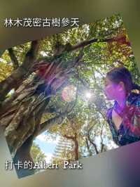 林木茂密古樹參天打卡的Albert Park